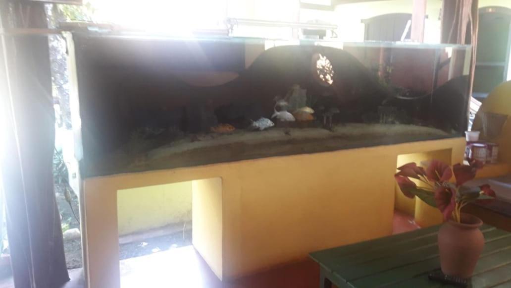 Casa de hóspedes Cantinho Dos Aquarios *